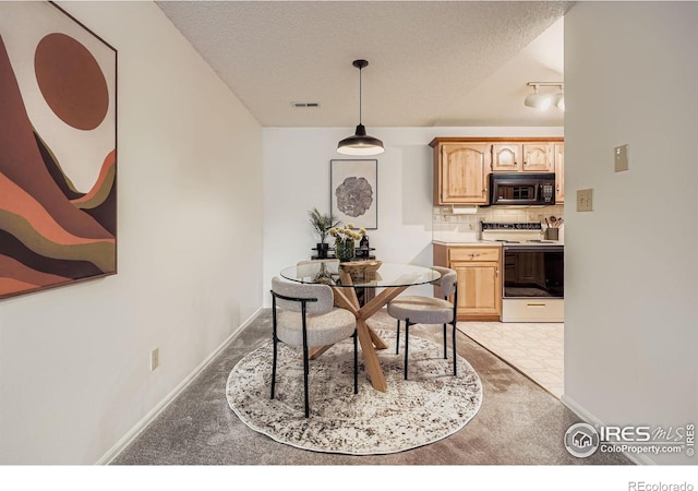 50 19th Ave Unit 34, Longmont, CO 80501 - photo 12