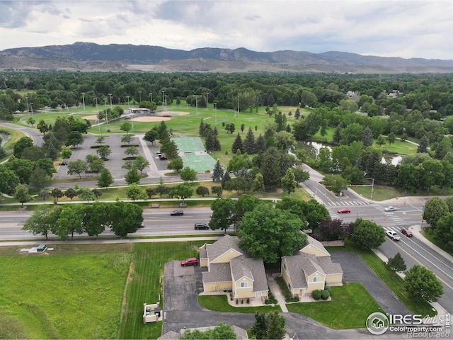 1021 Rolland Moore Dr Unit F, Fort Collins, CO 80526 - photo 5