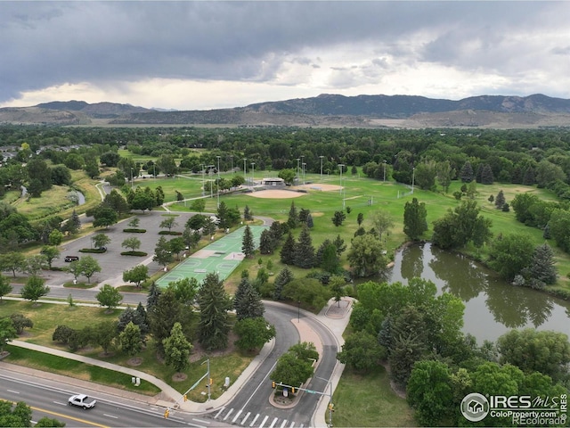 1021 Rolland Moore Dr Unit F, Fort Collins, CO 80526 - photo 33