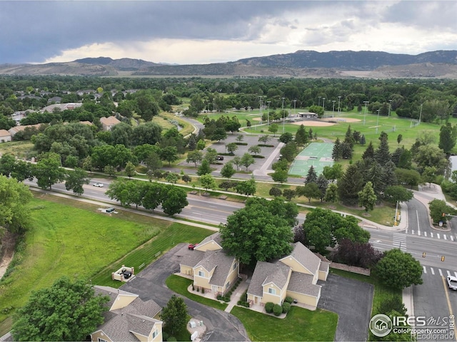 1021 Rolland Moore Dr Unit F, Fort Collins, CO 80526 - photo 34