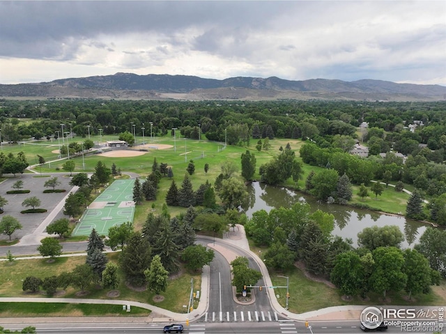 1021 Rolland Moore Dr Unit F, Fort Collins, CO 80526 - photo 35