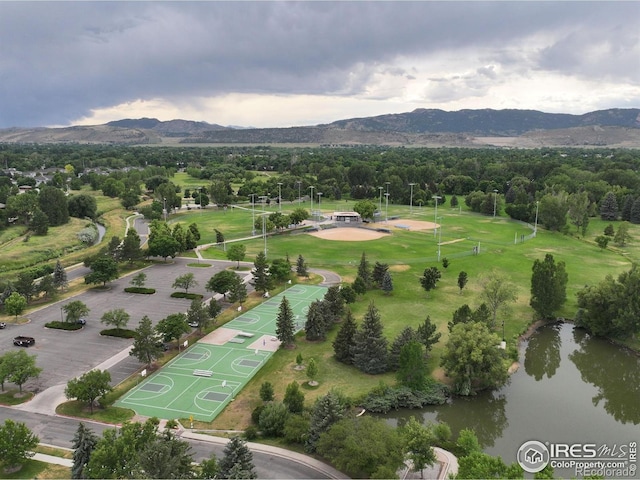 1021 Rolland Moore Dr Unit F, Fort Collins, CO 80526 - photo 36