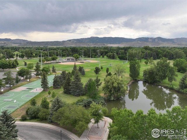 1021 Rolland Moore Dr Unit F, Fort Collins, CO 80526 - photo 38
