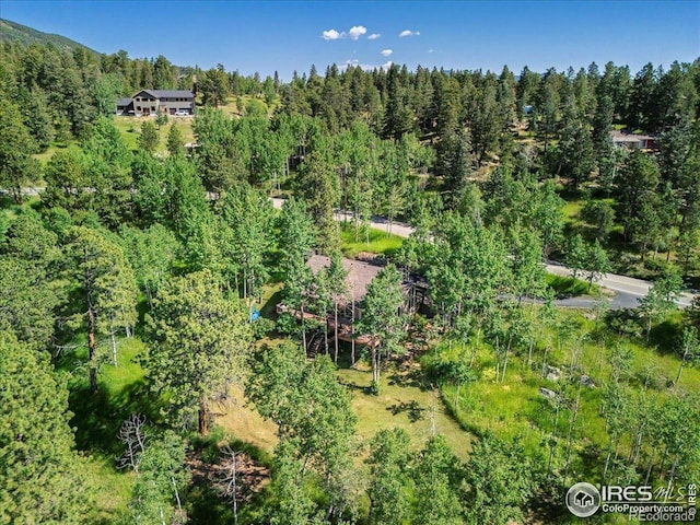 1362 Pine Valley Rd, Evergreen, CO 80439 - photo 1