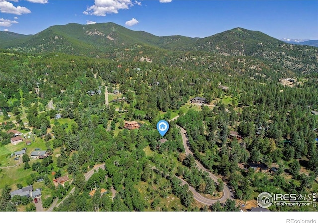 1362 Pine Valley Rd, Evergreen, CO 80439 - photo 28