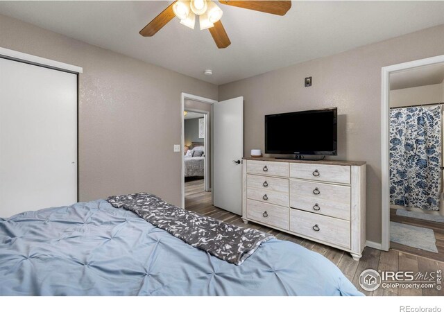 364 49th Avenue Pl, Greeley, CO 80634 - photo 16