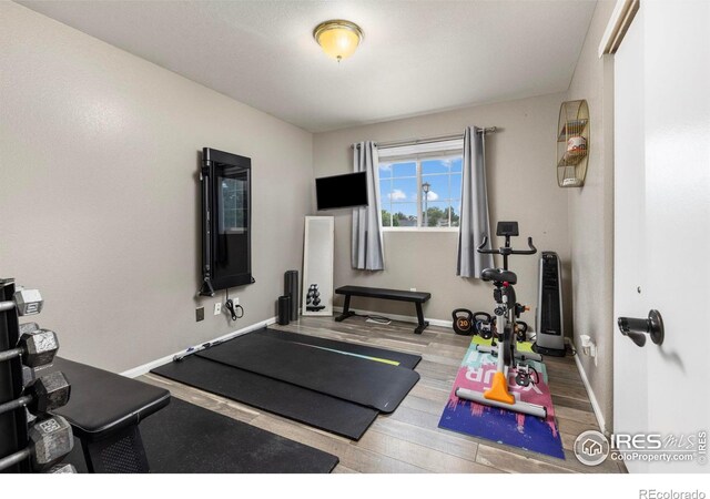 364 49th Avenue Pl, Greeley, CO 80634 - photo 24