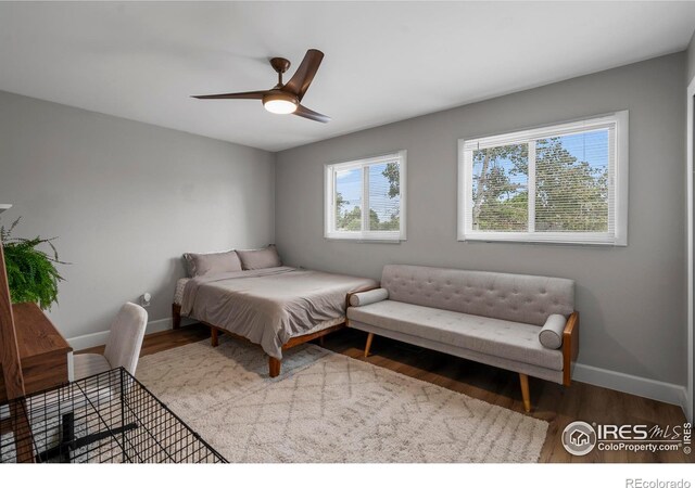 1717 Diana Dr, Loveland, CO 80537 - photo 18