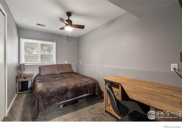 1717 Diana Dr, Loveland, CO 80537 - photo 23