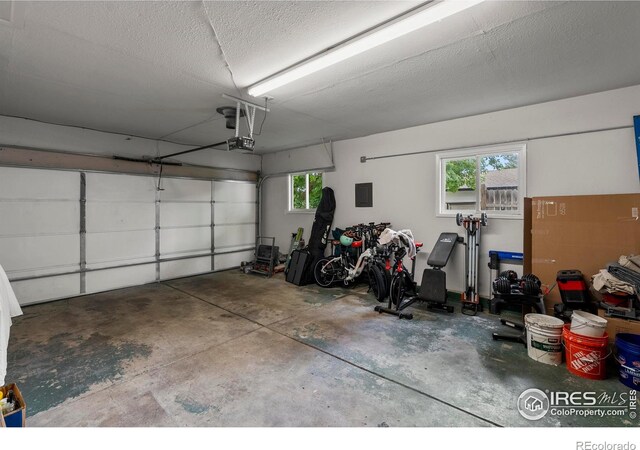 1717 Diana Dr, Loveland, CO 80537 - photo 35