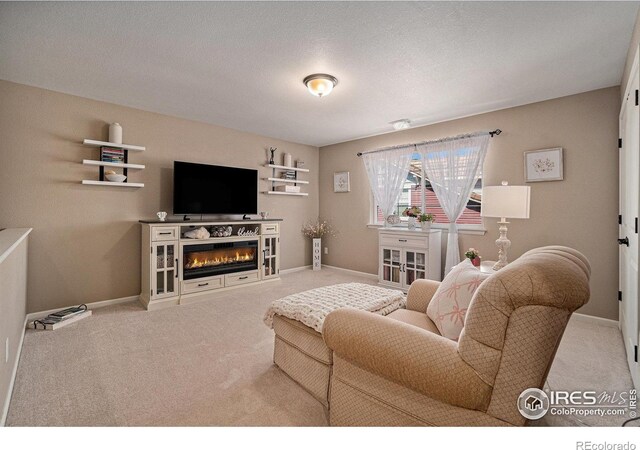 4806 Wildwood Way, Johnstown, CO 80534 - photo 24