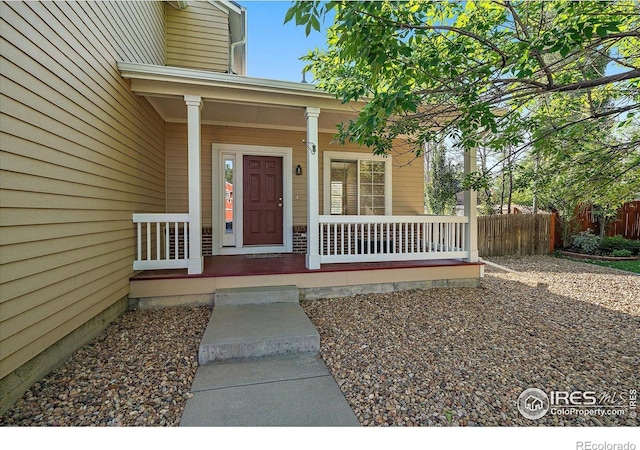 717 Mcclure Ct, Erie, CO 80516 - photo 4