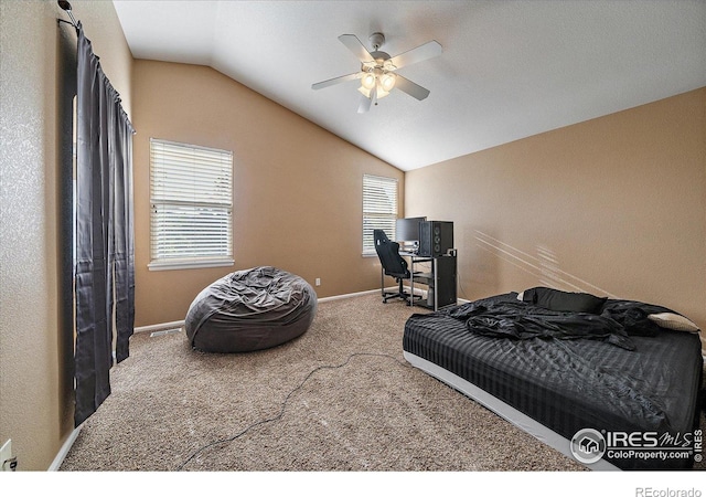 717 Mcclure Ct, Erie, CO 80516 - photo 18