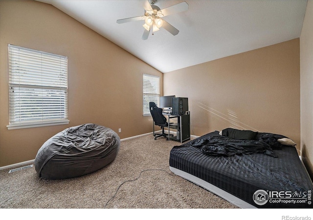 717 Mcclure Ct, Erie, CO 80516 - photo 19