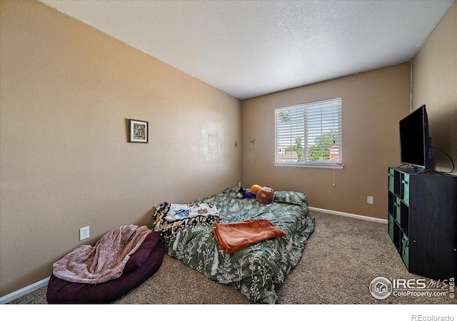 717 Mcclure Ct, Erie, CO 80516 - photo 21
