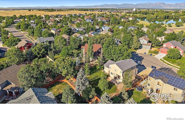 717 Mcclure Ct, Erie, CO 80516 - photo 29