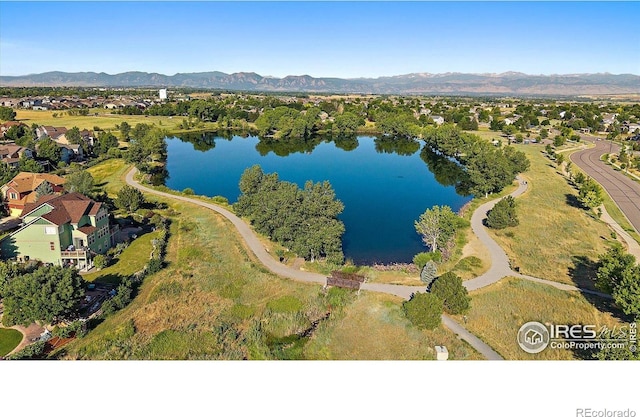 717 Mcclure Ct, Erie, CO 80516 - photo 32