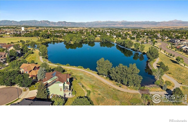 717 Mcclure Ct, Erie, CO 80516 - photo 33