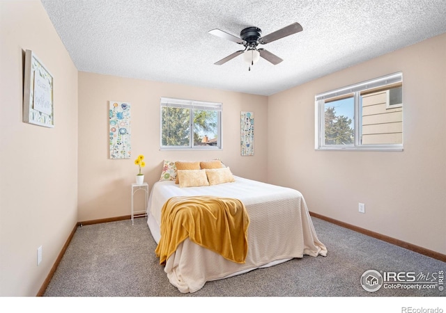 2144 26th Ave, Greeley, CO 80634 - photo 15