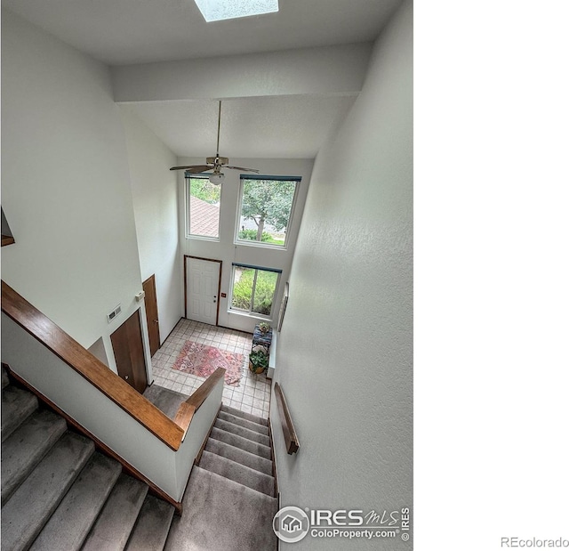 105 E Cannon St, Lafayette, CO 80026 - photo 10
