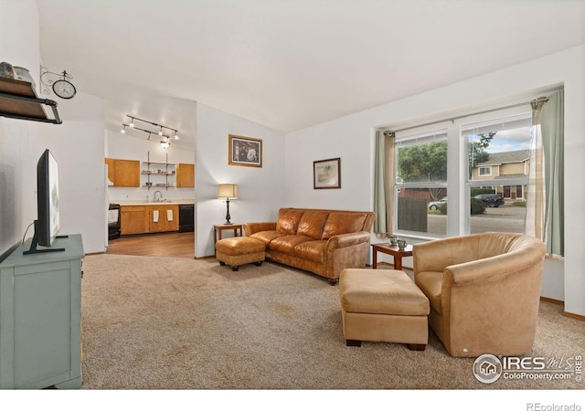 1255 Alameda St, Fort Collins, CO 80521 - photo 3