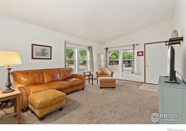 1255 Alameda St, Fort Collins, CO 80521 - photo 5