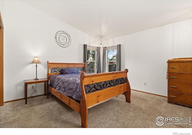 1255 Alameda St, Fort Collins, CO 80521 - photo 10