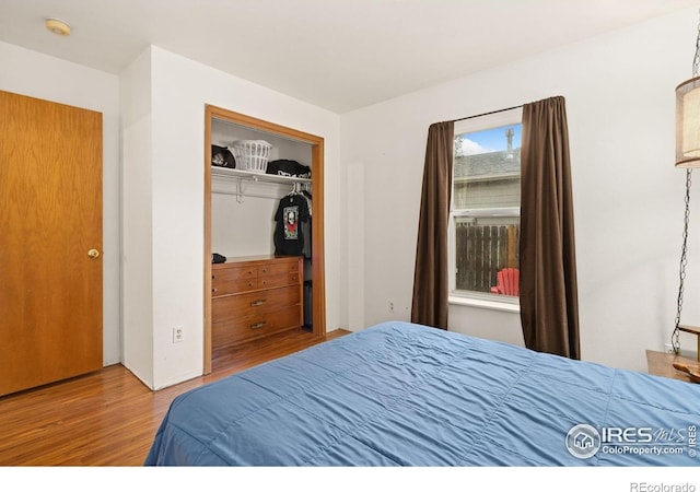 1255 Alameda St, Fort Collins, CO 80521 - photo 14