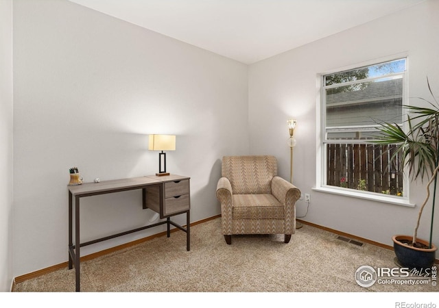 1255 Alameda St, Fort Collins, CO 80521 - photo 15