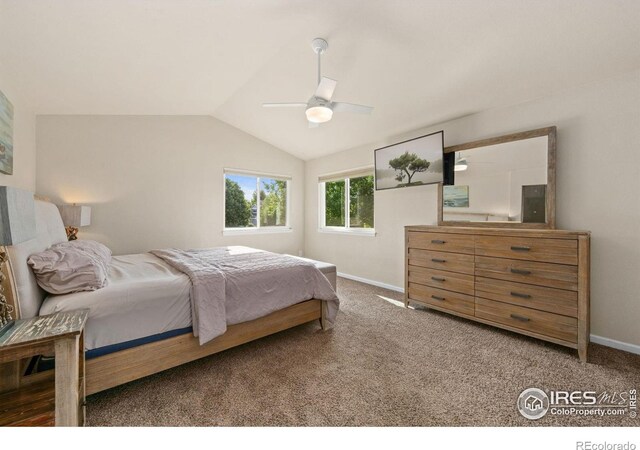 6580 Clearwater Dr, Loveland, CO 80538 - photo 15