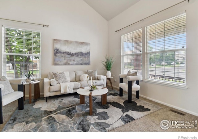 4314 Mt Oxford St, Brighton, CO 80601 - photo 5