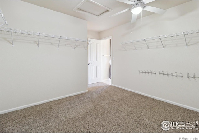 4314 Mt Oxford St, Brighton, CO 80601 - photo 19