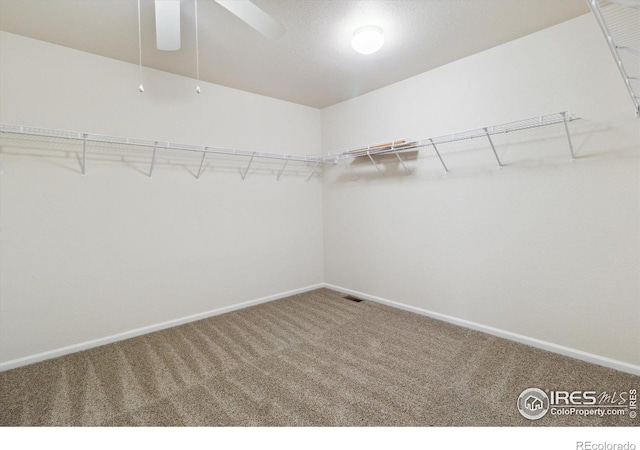 4314 Mt Oxford St, Brighton, CO 80601 - photo 21