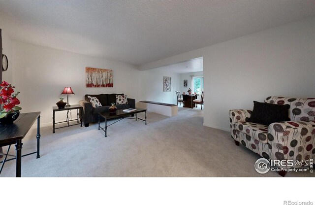 901 Club View Rd, Fort Collins, CO 80524 - photo 6