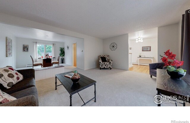 901 Club View Rd, Fort Collins, CO 80524 - photo 7