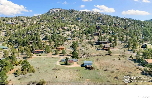 376 Meadowview Dr, Estes Park, CO 80517 - photo 25