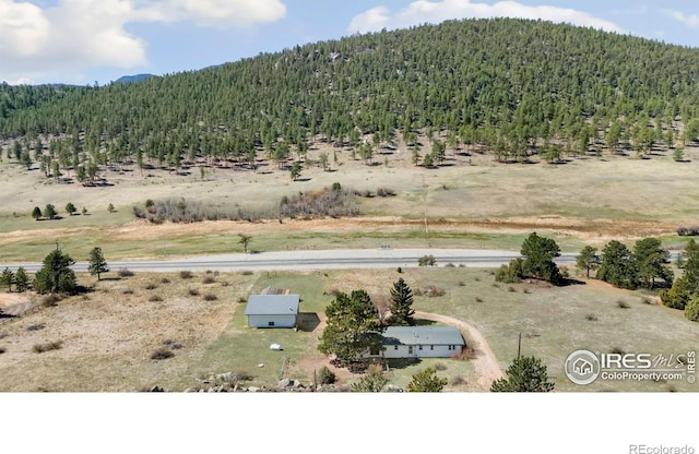 376 Meadowview Dr, Estes Park, CO 80517 - photo 28
