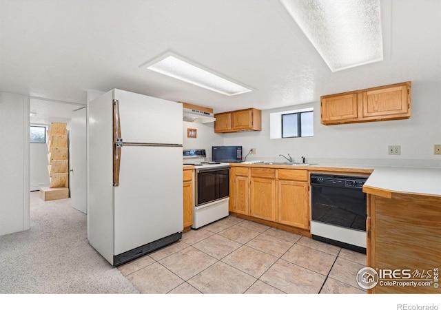 1419 10th Ave, Greeley, CO 80631 - photo 19