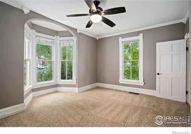 410 E Oak St, Fort Collins, CO 80524 - photo 5