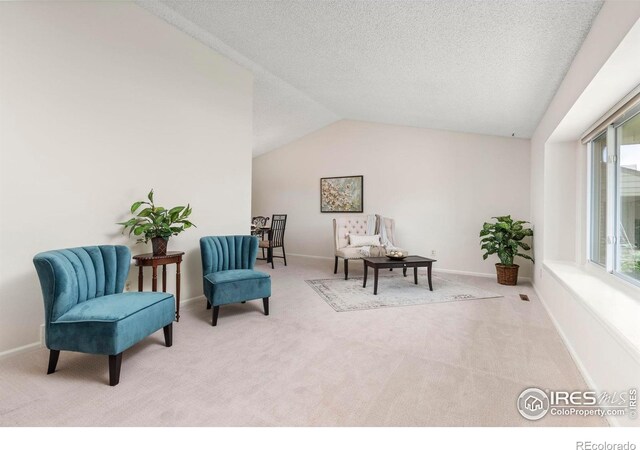 3206 Silverthorne Dr, Fort Collins, CO 80526 - photo 6