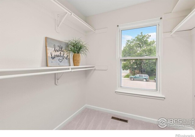 3206 Silverthorne Dr, Fort Collins, CO 80526 - photo 21