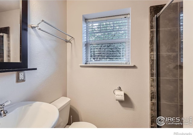 641 W Dahlia St, Louisville, CO 80027 - photo 22