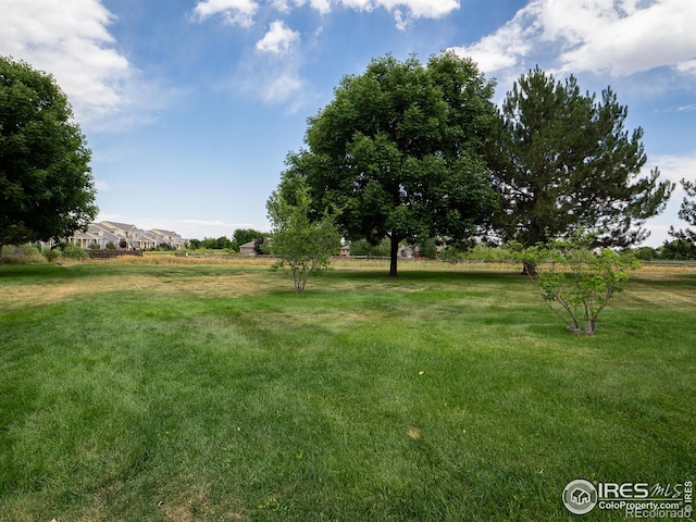 1925 Massachusetts St, Loveland, CO 80538 - photo 24