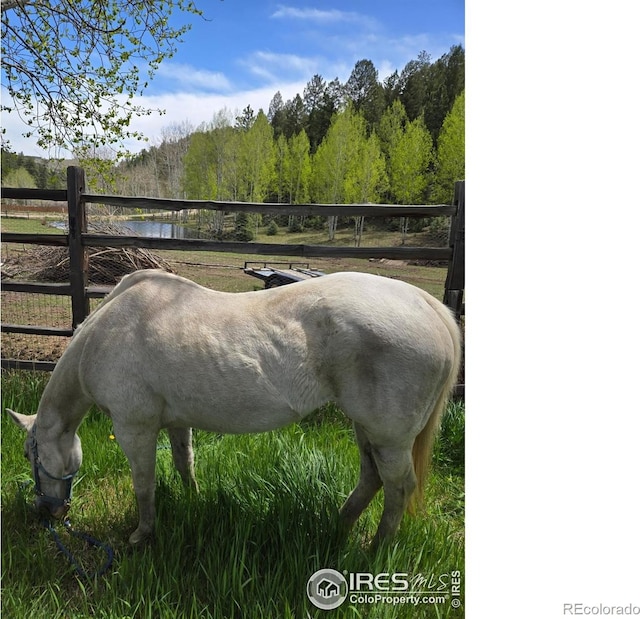 90 Chickadee Dr, Bailey, CO 80421 - photo 1