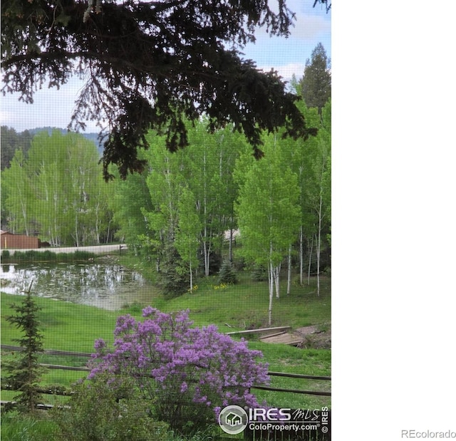 90 Chickadee Dr, Bailey, CO 80421 - photo 5