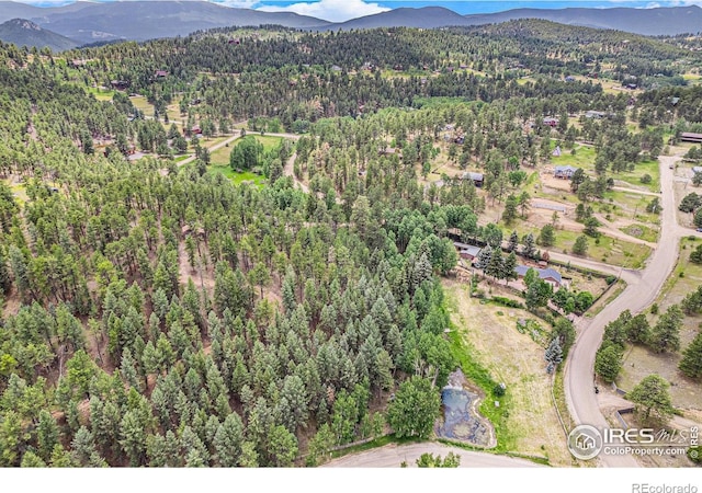 90 Chickadee Dr, Bailey, CO 80421 - photo 35