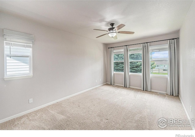 3320 66th Ave, Greeley, CO 80634 - photo 6