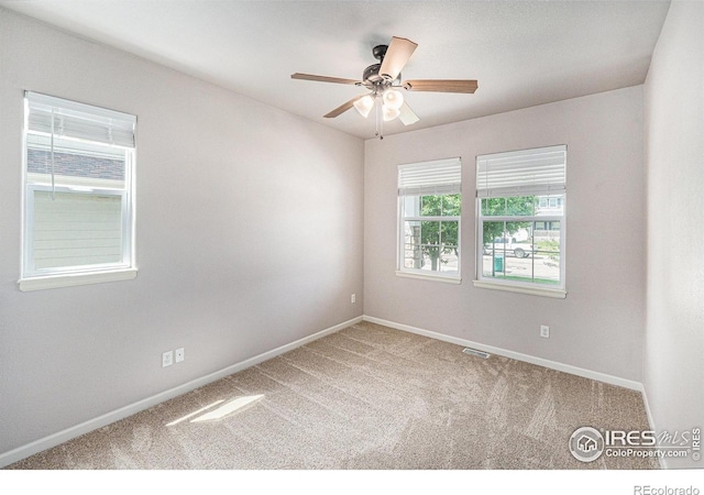 3320 66th Ave, Greeley, CO 80634 - photo 10