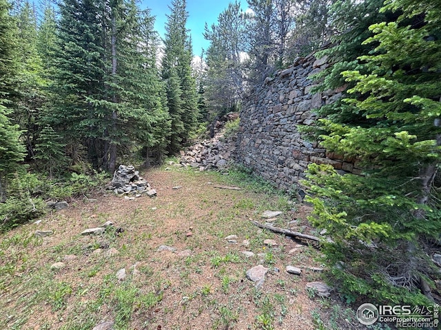 0 County Road 128-j, Nederland, CO 80466 - photo 6