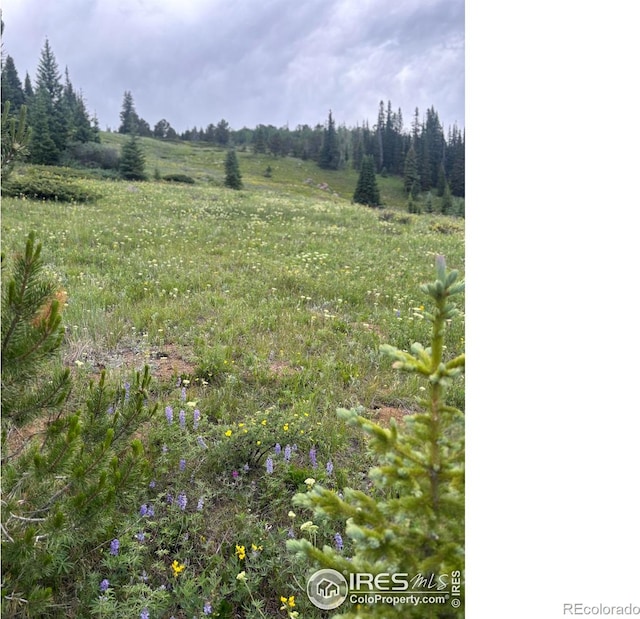 0 County Road 128-j, Nederland, CO 80466 - photo 7